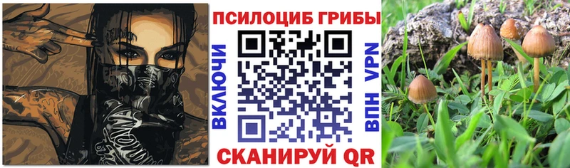 как найти закладки Далматово OMG рабочий сайт мориарти Telegram Псилоцибиновые грибы MAGIC MUSHROOMS